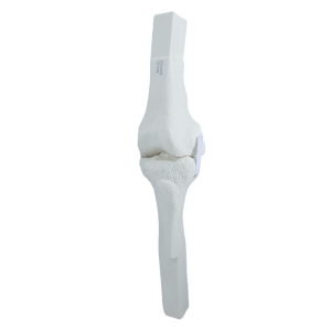 JOELHO PARA CIRURGIA ROBÓTICA - cod: 13304