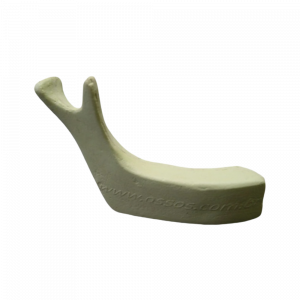 MEIA MANDÍBULA DIREITA EDÊNTULA - cód. 4010 P